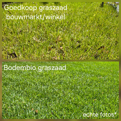 Bodembio Sport & Speel graszaad